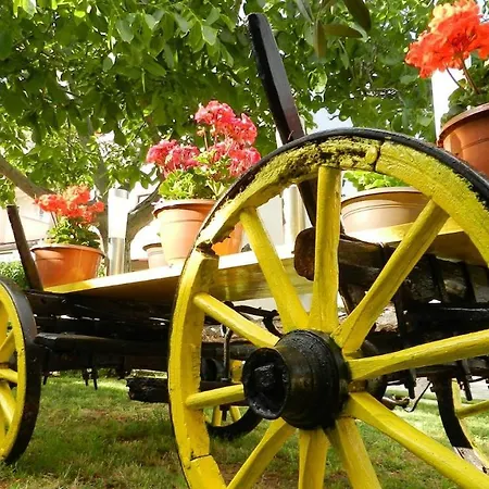 Apartamento Kristina 1531